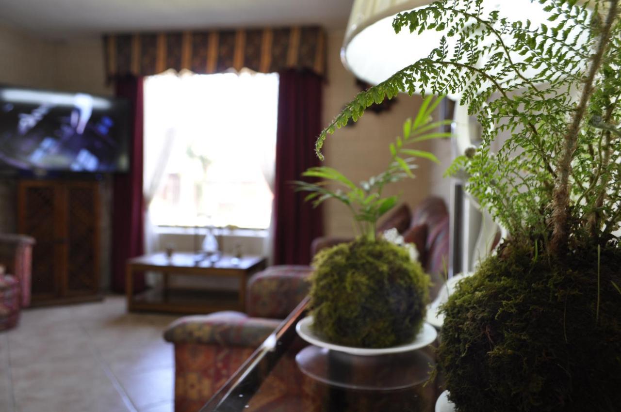 Santa Elena De Maipo Home 特木科 外观 照片
